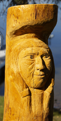 Spruce Carving Anglin Lake 2018   .....Photography by K Davidson - Detailed View